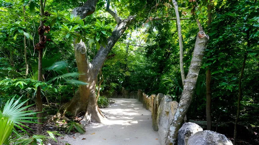 Senderos Mayakoba