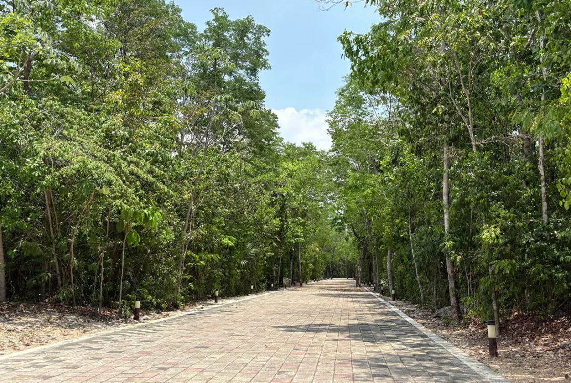 Lote Residencial en Venta | Senderos Poniente Playa del Carmen